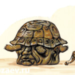 В степи и в каске В степи и в каске Темур козаев карикатура temur kozaev cartoon caricature