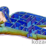 Жилое пространство Жилое пространство Темур козаев карикатура temur kozaev cartoon caricature